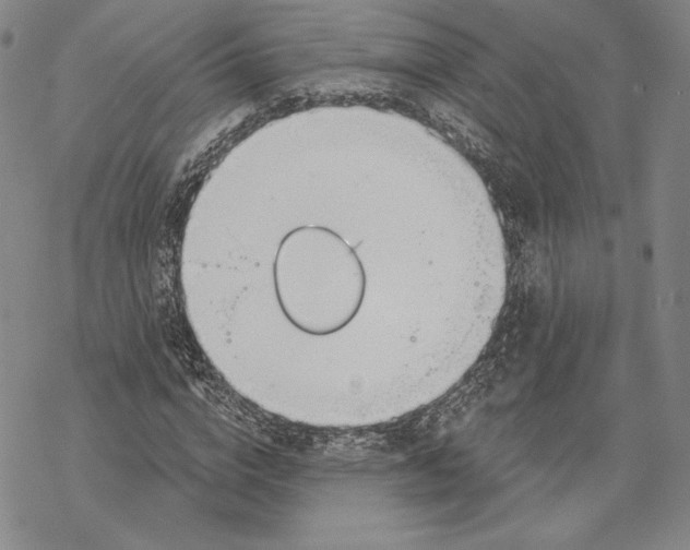 X0000068770824200605191646