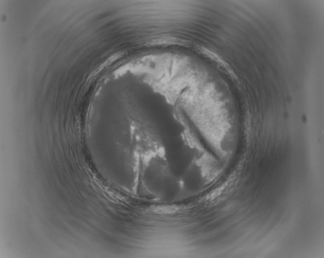 X0000068770825200605191646