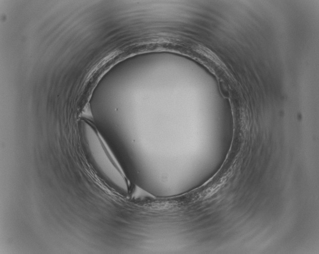 X0000068770826200605191646