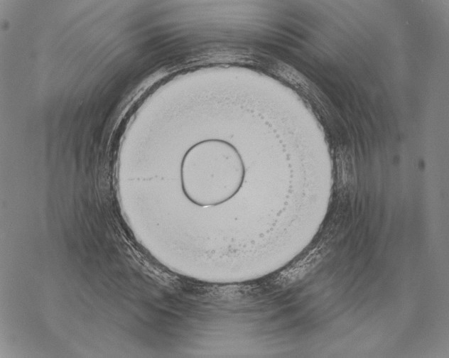 X0000068770828200605191646