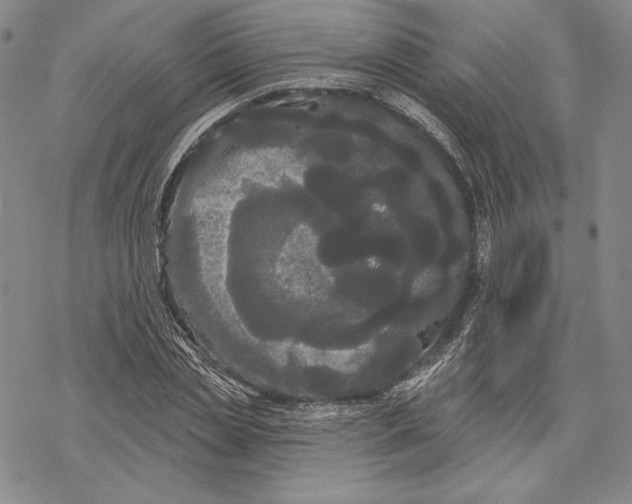 X0000068770829200605191646