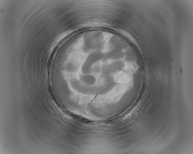 X0000068770831200605191646