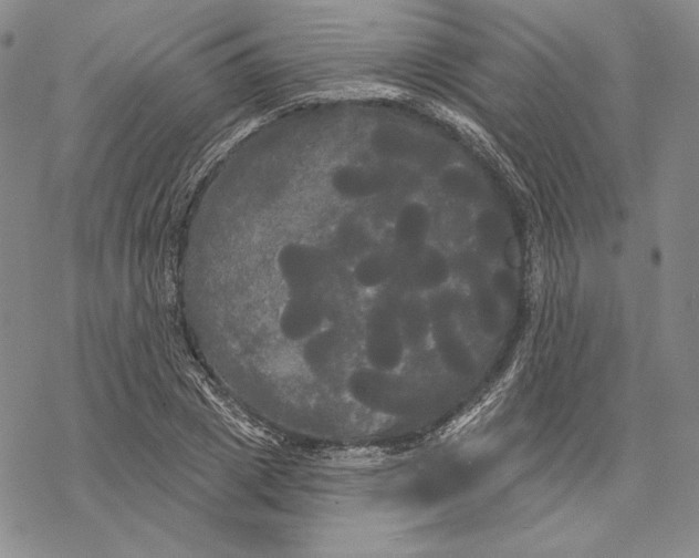 X0000068770833200605191646