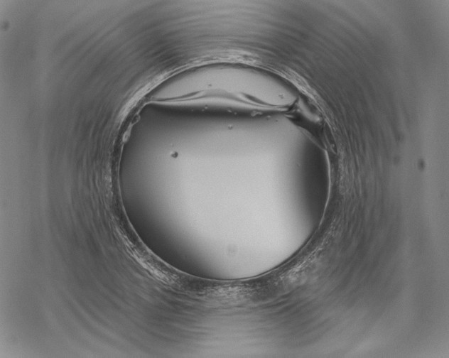 X0000068770834200605191646