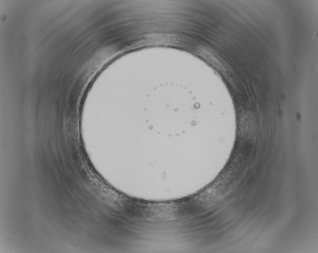 X0000068770836200605191646