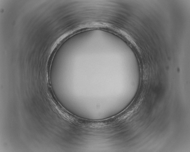 X0000068770837200605191646