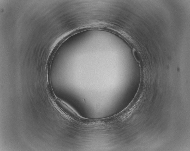 X0000068770838200605191646