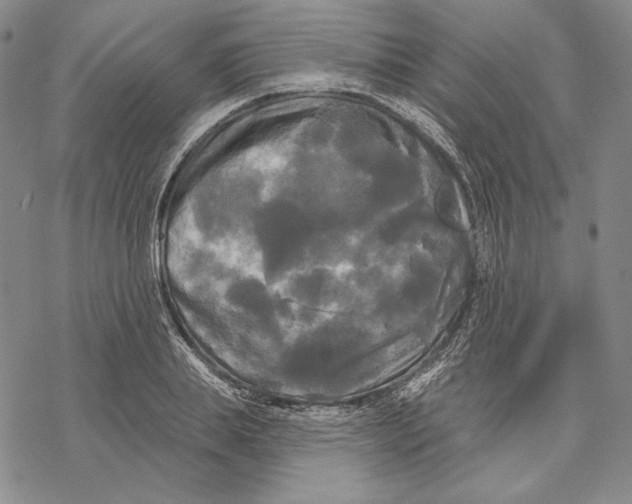 X0000068770839200605191646