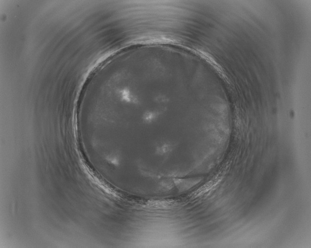 X0000068770840200605191646