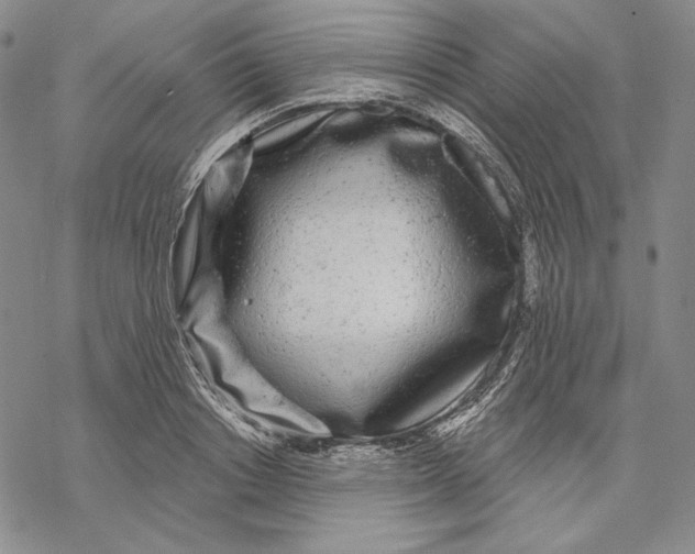 X0000068770842200605191646