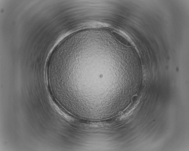 X0000068770843200605191646