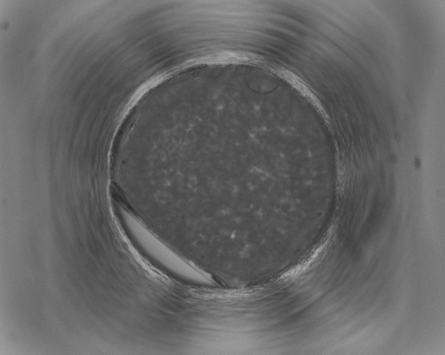 X0000068770845200605191646