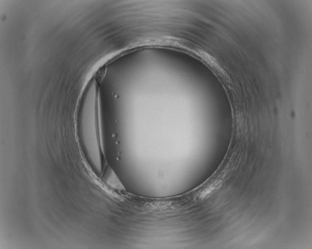 X0000068770846200605191646