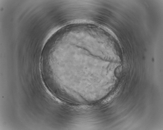 X0000068770847200605191646