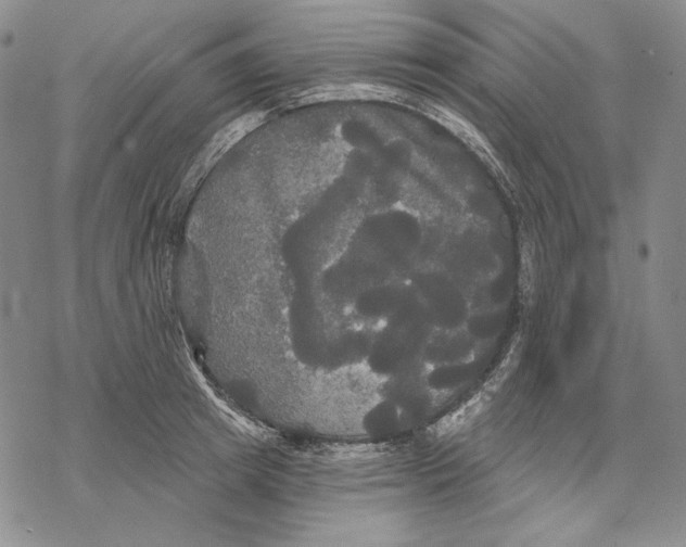 X0000068770849200605191646