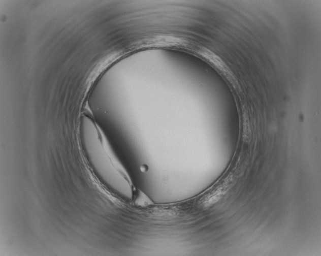 X0000068770850200605191646