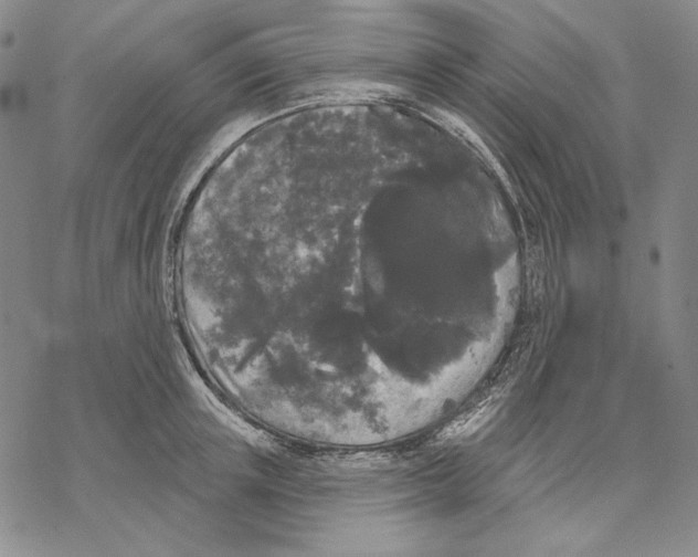 X0000068770851200605191646