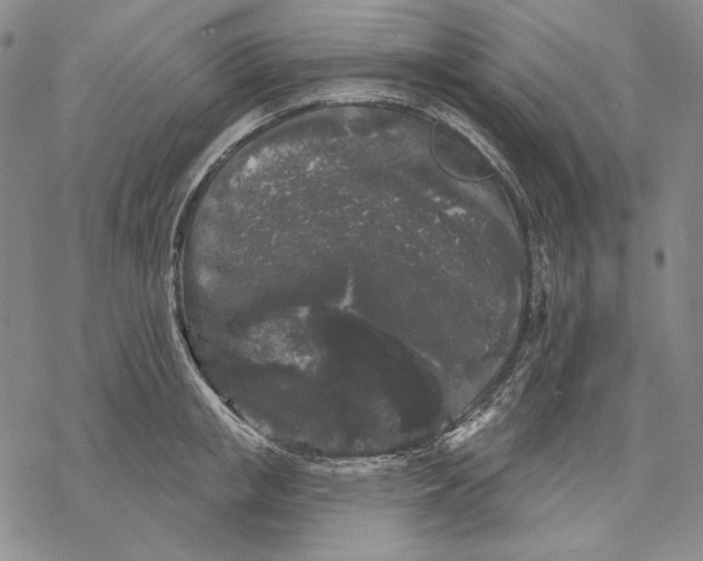 X0000068770853200605191646