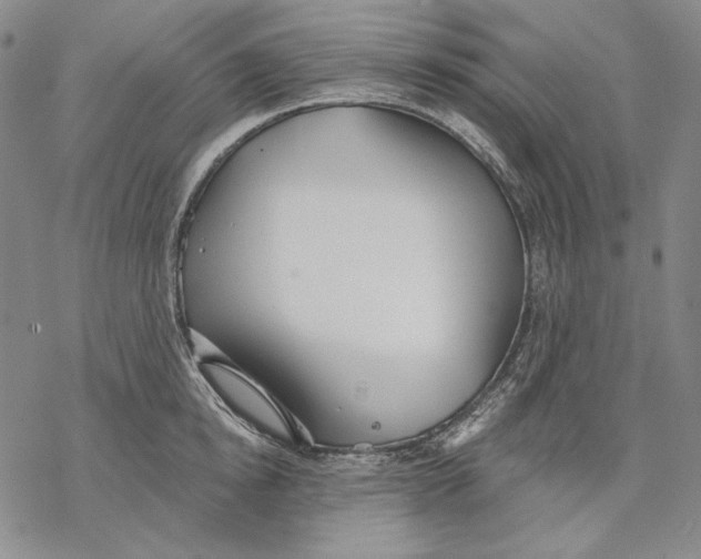 X0000068770854200605191646