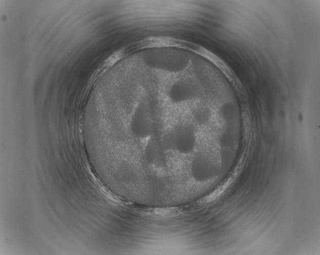 X0000068770857200605191646