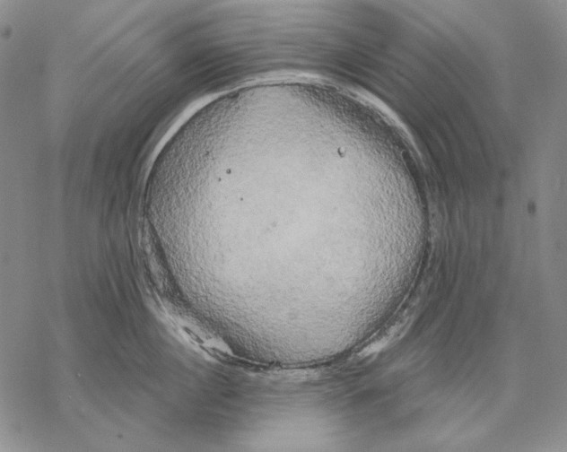 X0000068770860200605191646