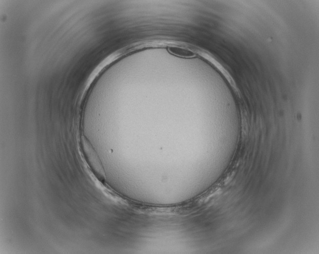 X0000068770861200605191646