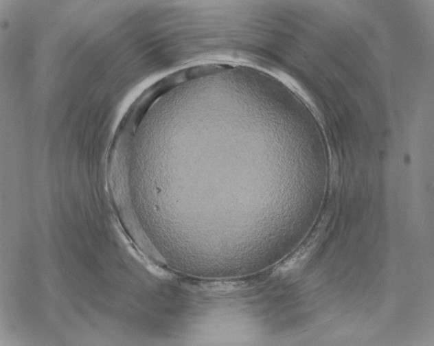 X0000068770862200605191646