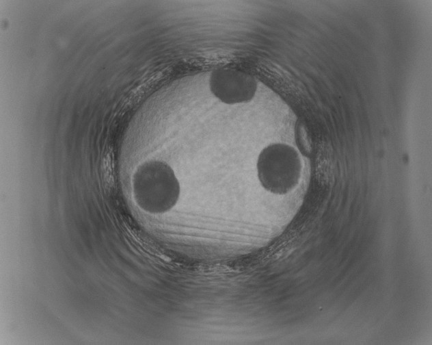 X0000068770866200605191646