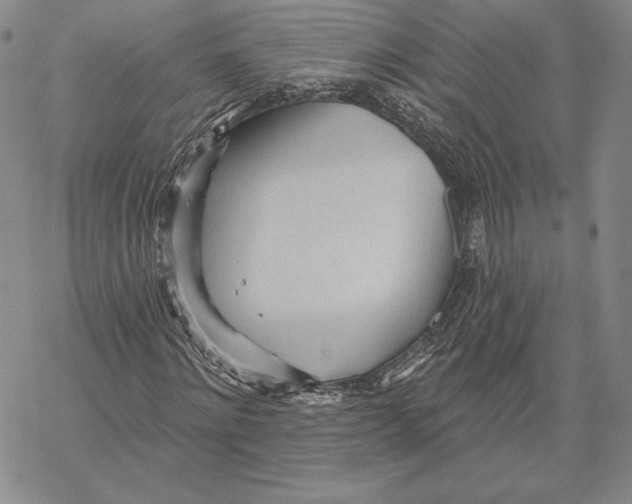 X0000068770868200605191646