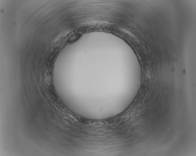 X0000068770869200605191646