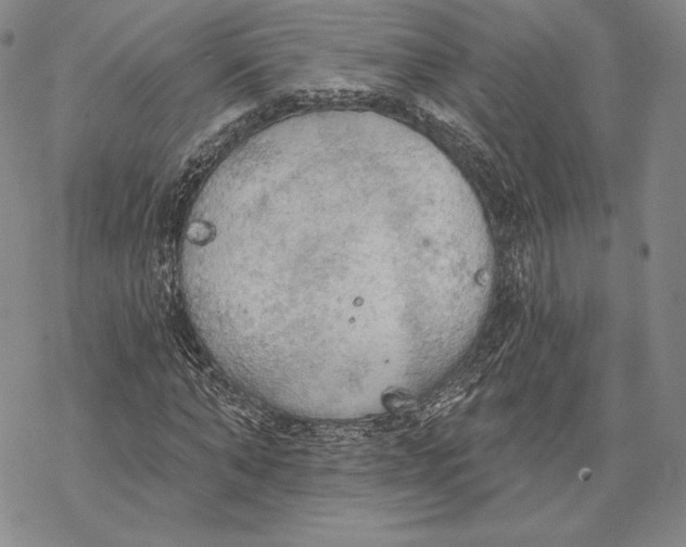 X0000068770870200605191646