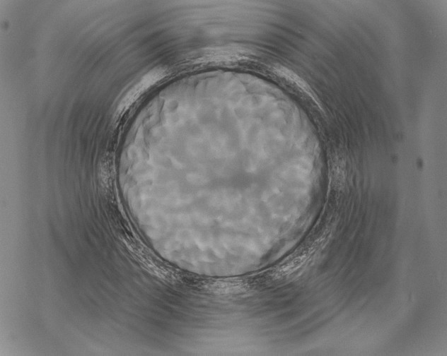 X0000068770874200605191645