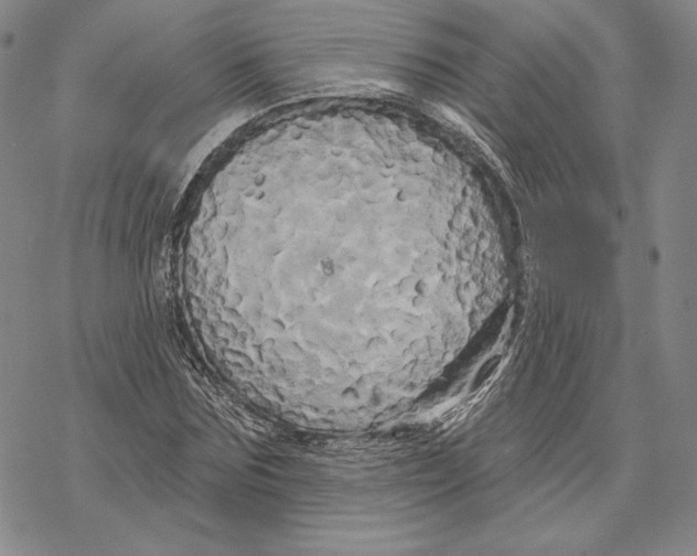 X0000068770875200605191645