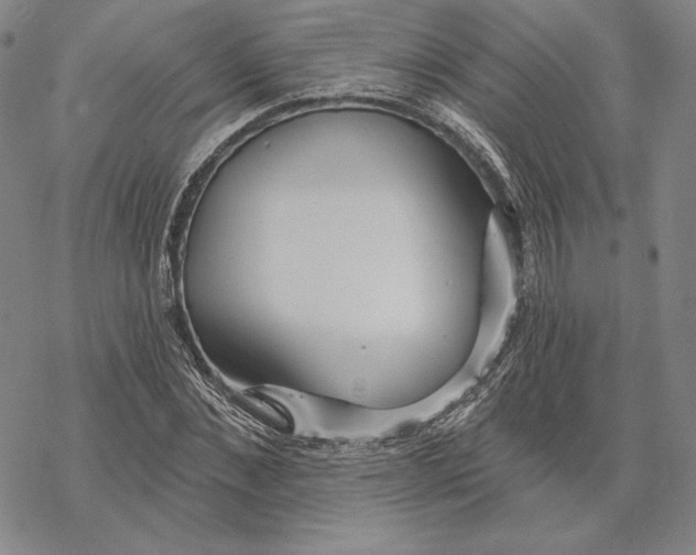 X0000068770876200605191645