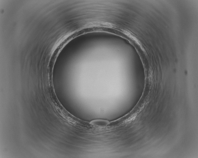 X0000068770877200605191645