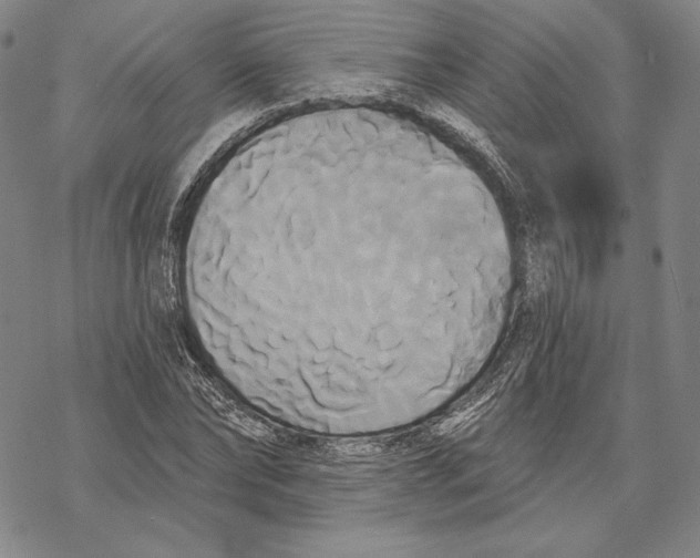 X0000068770878200605191645