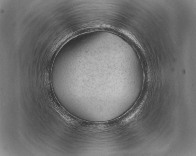 X0000068770881200605191645