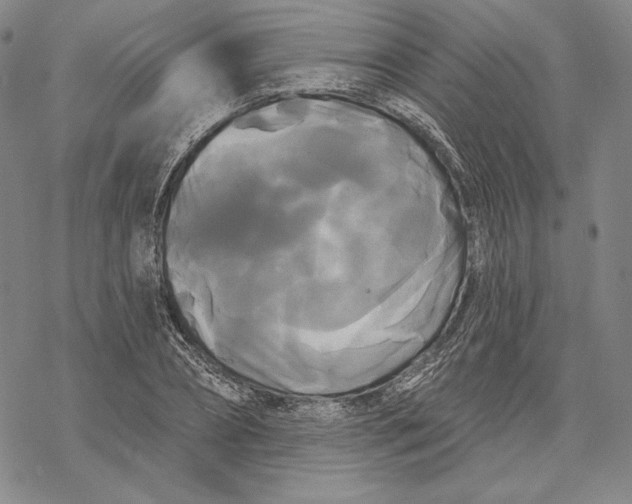 X0000068770882200605191645