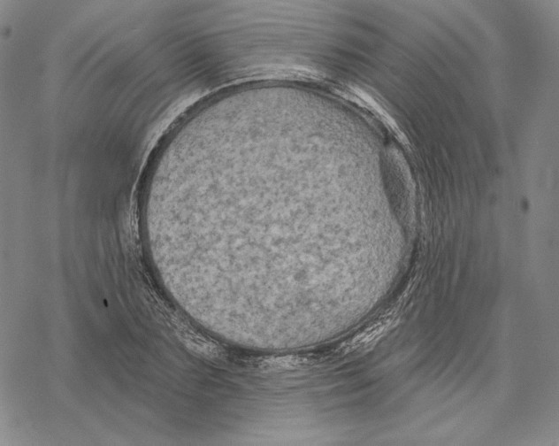 X0000068770883200605191645