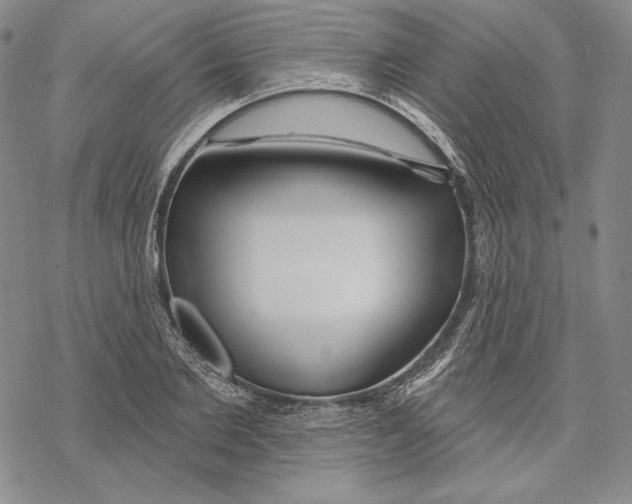 X0000068770885200605191645