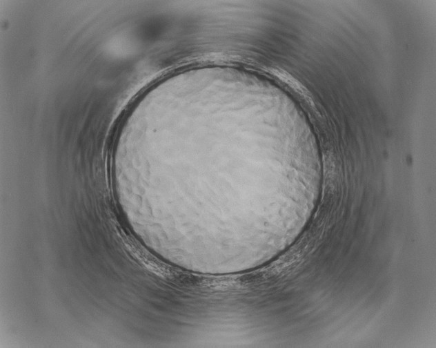 X0000068770886200605191645