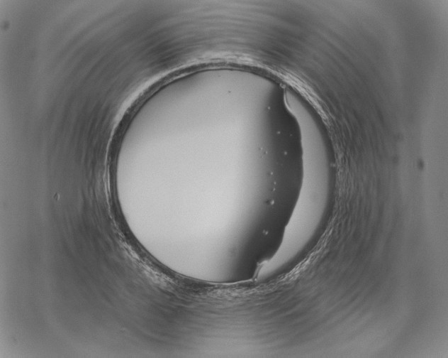 X0000068770888200605191645