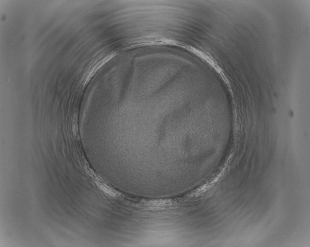 X0000068770889200605191645