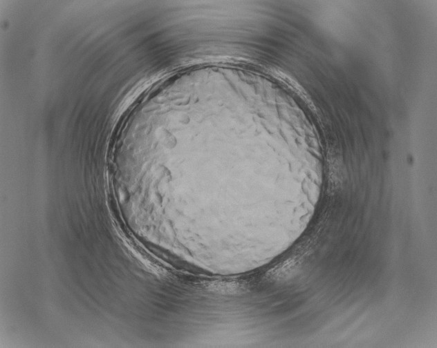 X0000068770890200605191645