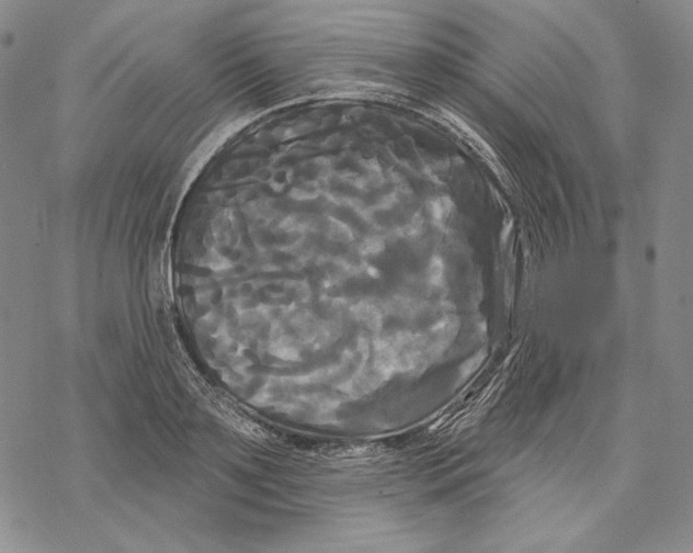 X0000068770891200605191645