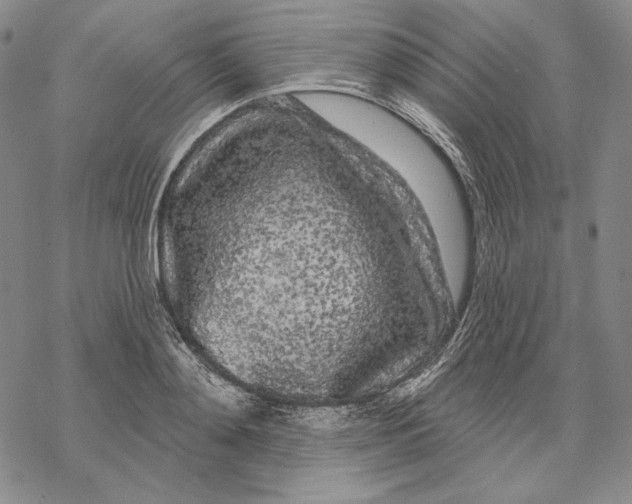 X0000068770892200605191645