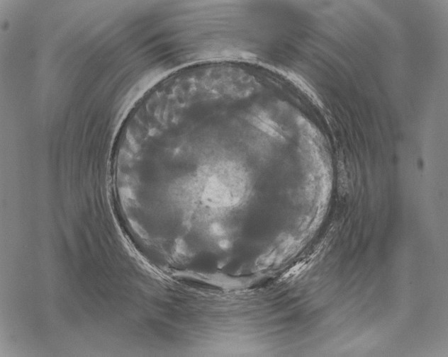 X0000068770895200605191645