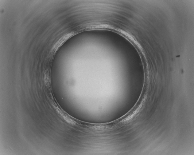 X0000068770897200605191645