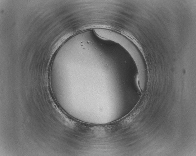 X0000068770898200605191645