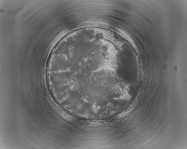 X0000068770899200605191645